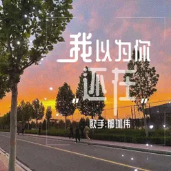 我以为你还在 伴奏