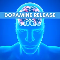 Release Dopamine