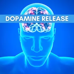 Libération de dopamine