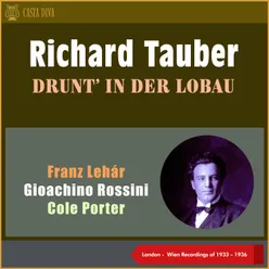Schubert: Ständchen. Horch, Horch! Die Lerch (Hark, Hark, the Lark), D 889 From Operetta: "Blossom Time"