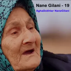 Nane Gilani, Vol. 19