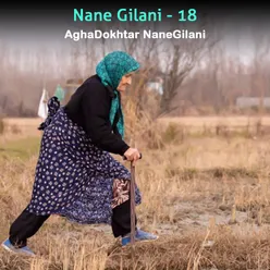 Nane Gilani, Vol. 18