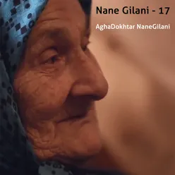 Nane Gilani, Vol. 17
