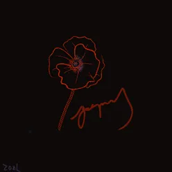 罂粟Poppy