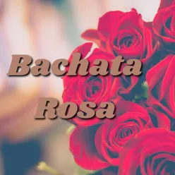 Bachata Rosa