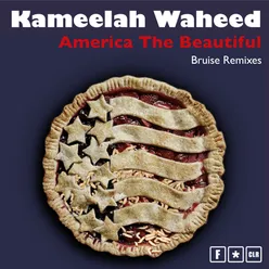America the Beautiful Bruise Vocal Remix