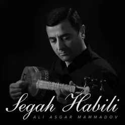 Segah Habili