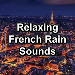 Rain Sounds in Paris, France, Pt. 43