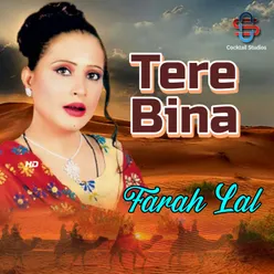 Tere Bina