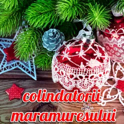 Colindatorii Maramuresului