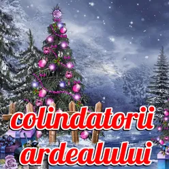 Colindatori Ardealului