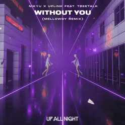 Without You Mellowdy Remix