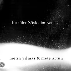 Türküler Söyledim Sana, Vol. 2