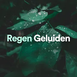 Regen Geluiden