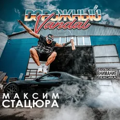 Дорожный Vandal