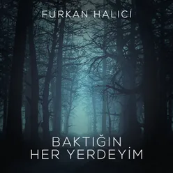 Baktığın Her Yerdeyim