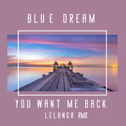 You Want Me Back Lelanga Remix