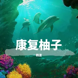 碎银几两 Remix