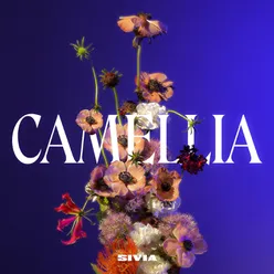 Intro, Camellia