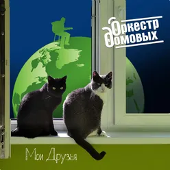 Мои друзья