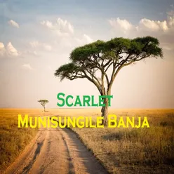 Munisungile Banja