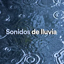 Sonidos de Lluvia, Pt. 14