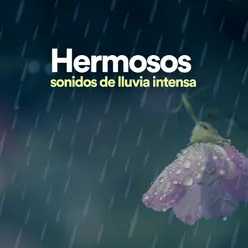 Hermosos sonidos de lluvia intensa