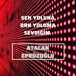 Sen Yoluna Ben Yoluma Sevdiğim