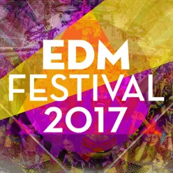 EDM Festival 2017