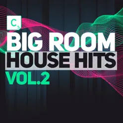 Big Room House Vol. 2