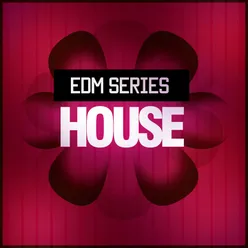 EDM House DJ Mix 1