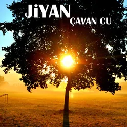 Çavan Cu