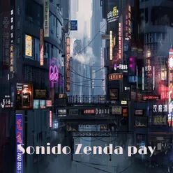 Sonido Zenda pay