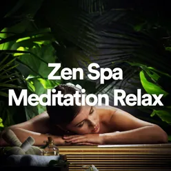 Zen Spa Meditation Relax