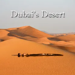The Desert of Dubai