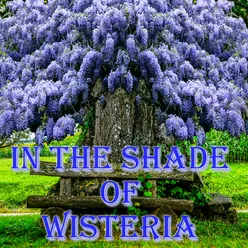 In the Shade of the Wisteria