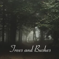 Between Trees and Bushes
