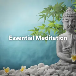 Essential Meditation