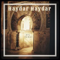 Haydar Haydar Akustik