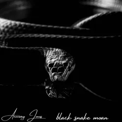 Black Snake Moan