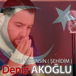 Sen Vatansın