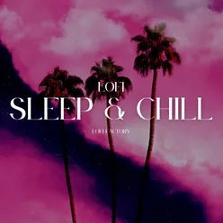 Lofi Sleep & Chill