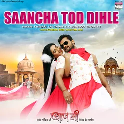 Saancha Tod Dihle From "Baapji"