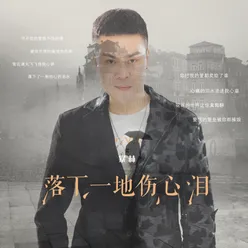 落下一地伤心泪 DJ Version