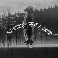 Somebody That I Liked