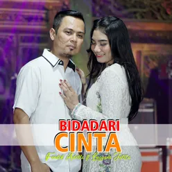 Bidadari Cinta