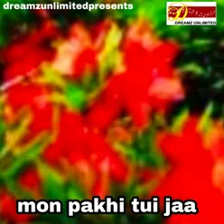 Mon Pakhi Tui Jaa