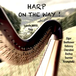 Harp on the Way !