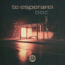 Te Esperarei