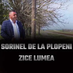 PE SOSEAUA URZICENI MAI SOFERILOR